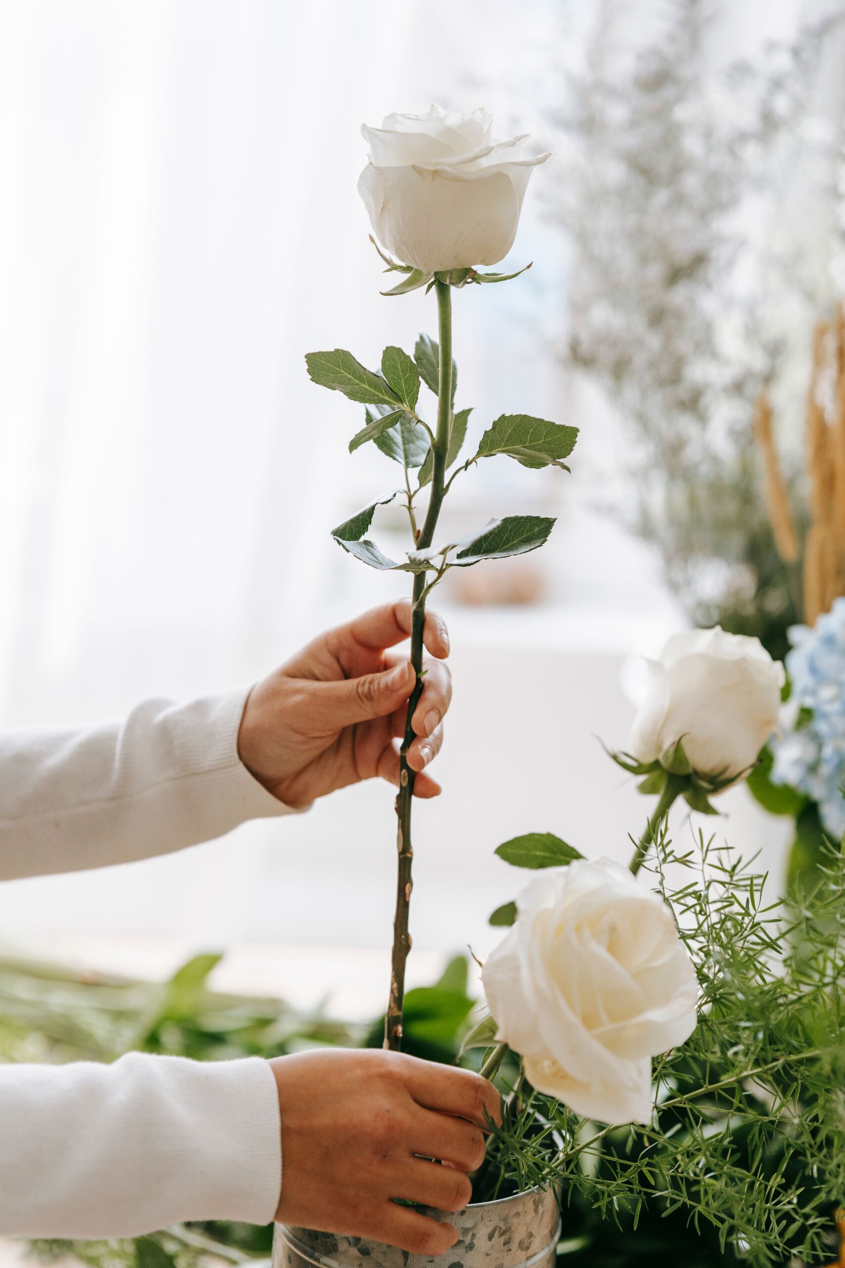 Crop unrecognizable florist arranging white flower with long stem and leaves into vase in light room with various green plants at a Flower Shop in Kolkata